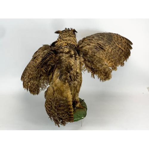 158 - A large vintage Taxidermy Owl. 85cm.