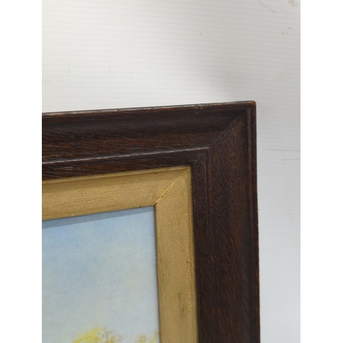 341 - An early 20th century print in oak frame. 63.5x53.5cm including frame