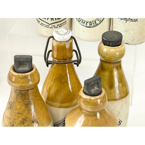 16 - A large collection of vintage Scottish stoneware ginger beer bottles. Including 5 Dumfries, W.G John... 