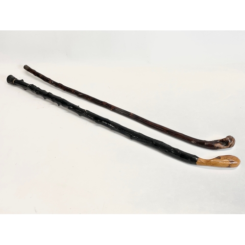 240 - 2 Blackthorn walking sticks. 93cm