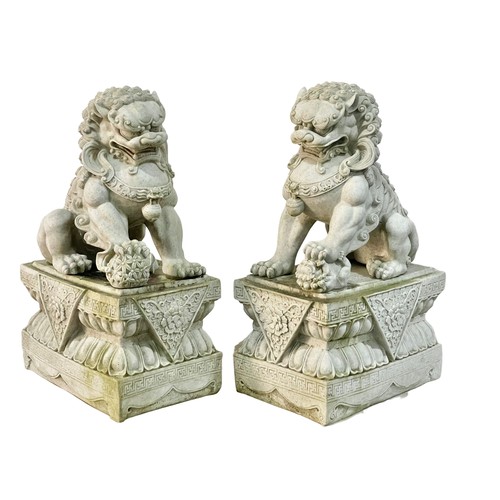 910 - A pair of large heavy resin Chinese Foo Lions. 30x45x77cn