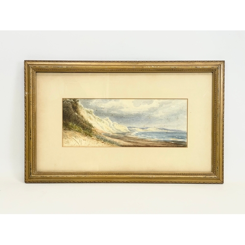 164 - An early 20th century watercolour painting signed F.F.P. Painting measures 38.5x15cm. Frame 61x37cm