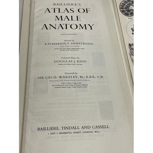 244 - 2 vintage Baillieres Atlas of Anatomy booklets. Male and Female. 23x44cm