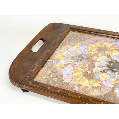 260S - A vintage inlaid Brazilian rosewood butterfly tray. 53x34x5cm