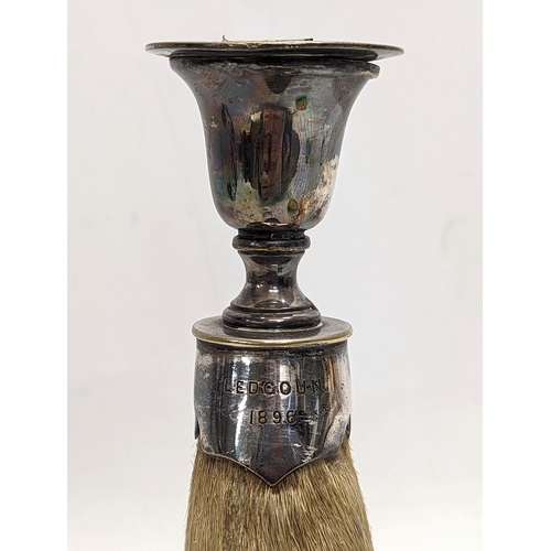 145 - A late 19th century silver plate and taxidermy deer's hoof candlestick, engraved Ledgoun 1896. 21.5c... 