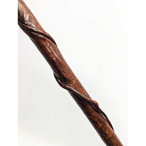 224 - A German hill walker's stick / cane. 119cm