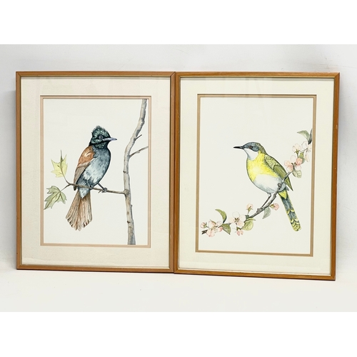 301 - 2 watercolour painting by Majorie Wood. Titled ‘Yellow Breasted Apalis’ and ‘Paradise Fly Catcher’ p... 