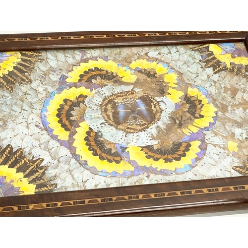 196J - A large vintage inlaid Brazilian rosewood butterfly wall hanging tray.  70x50cm