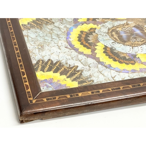 196J - A large vintage inlaid Brazilian rosewood butterfly wall hanging tray.  70x50cm