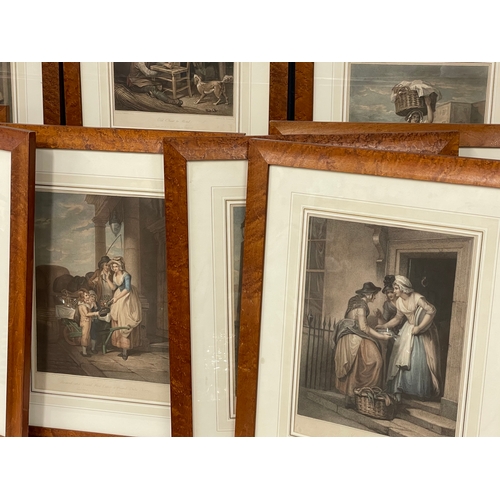 207Z - A set of 13 late 19th century prints in later Birdseye Maple frames. 52x63cm