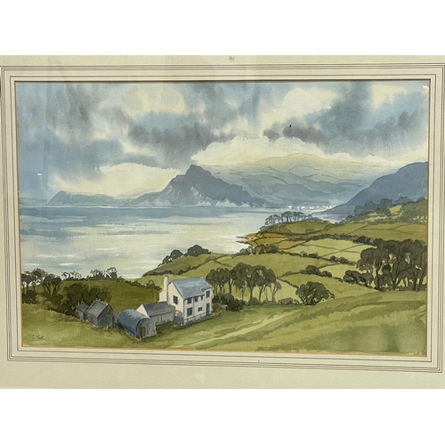 185Y - A large watercolour painting by Susan Forth. Painting measures 50x34cm. Frame 68x52cm