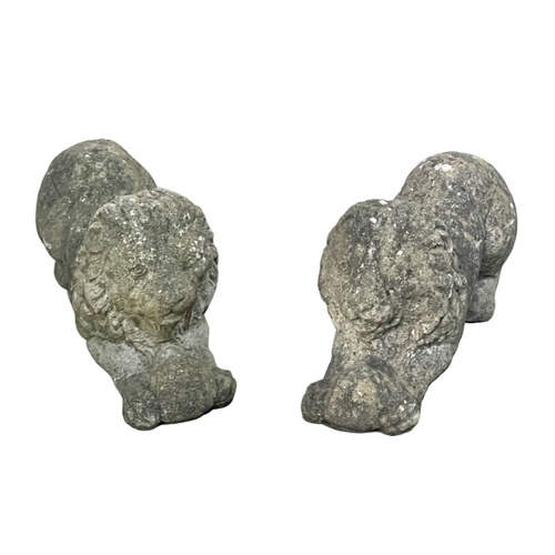 1114 - A pair of concrete garden lions. 52cm