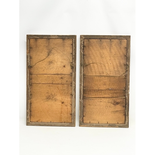 222 - A pair of late 19th century continental print. 32x59.5cm