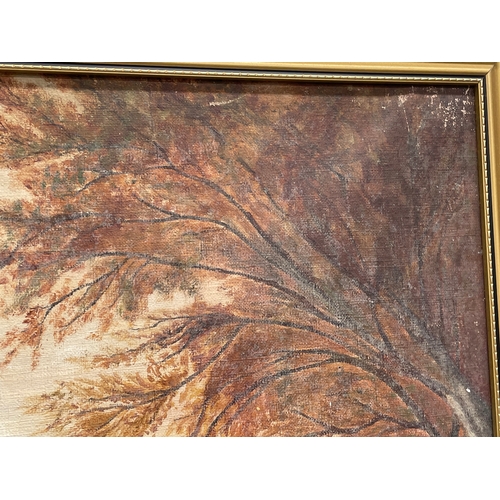 70 - A pair of early 20th century large oil paintings of stags, in later frames. Paintings measure 44.5x8... 