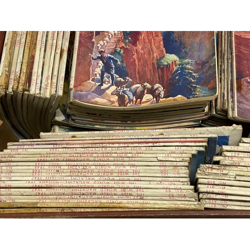 262 - A large collection of vintage ‘The Wide World’ magazines.