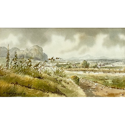 111 - A watercolour painting by R. B. Higgins. Painting measures 23x13cm. Frame 46x37cm.