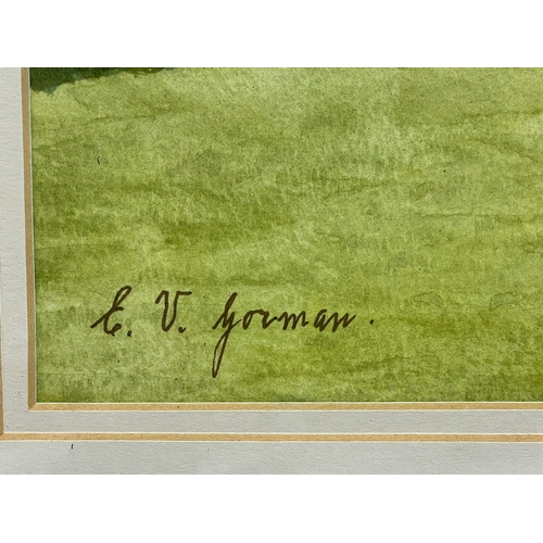 177 - A watercolour painting by E. V. Gorman. Botanic Gardens. Painting measures 33x23cm. Frame 55x44cm.