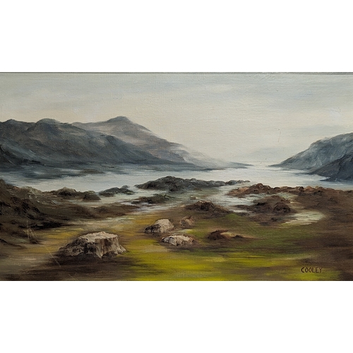 90 - A oil painting signed Cooley. 72x47cm with frame, 60x34.5cm without frame.