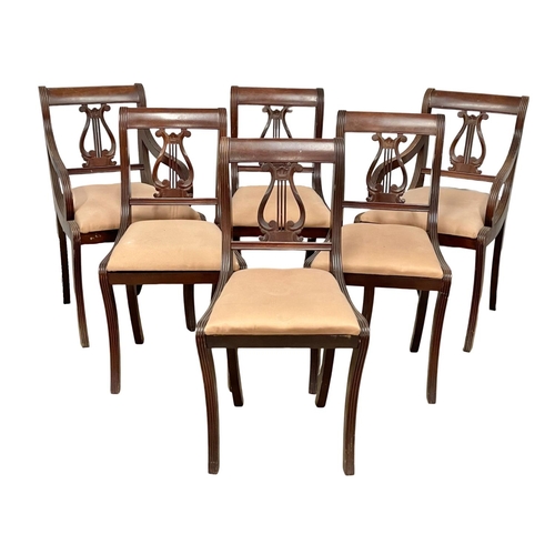 251 - A set of 6 Regency style mahogany dining chairs.