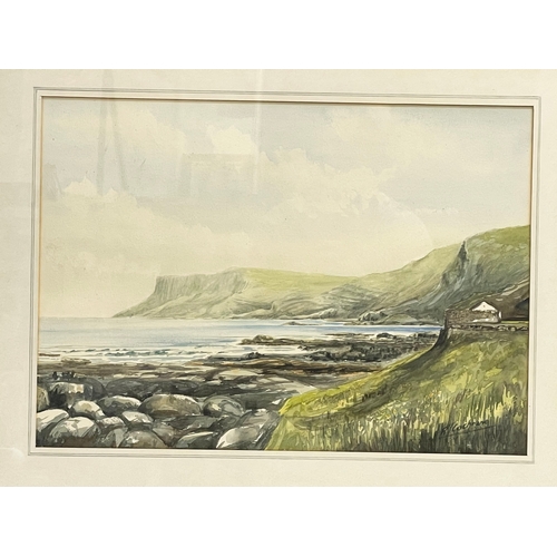 36 - A watercolour by R.T. Cochrane. Painting measures 51x36cm. Frame 68x55cm