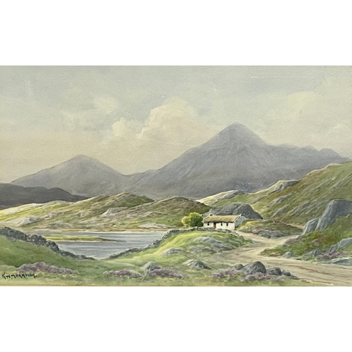 118 - A watercolour by G.W. Morrison. County Cork. Painting measures 46x29cm. Frame 70x50cm