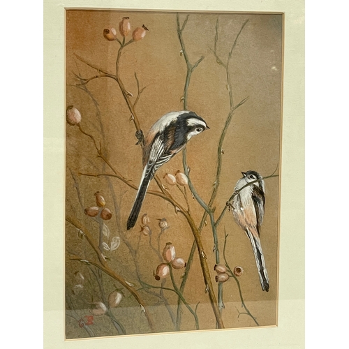 498 - 2 watercolours of birds. signed F.A. 32x40cm