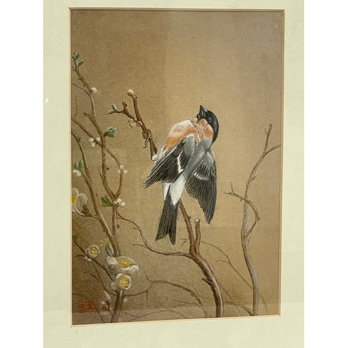 498 - 2 watercolours of birds. signed F.A. 32x40cm