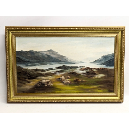 512 - A oil painting signed Cooley. 72x47cm with frame, 60x34.5cm without frame.