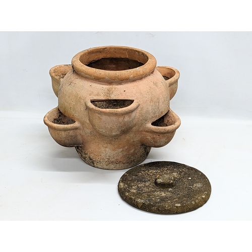 260D - A terracotta strawberry pot. 41x33cm