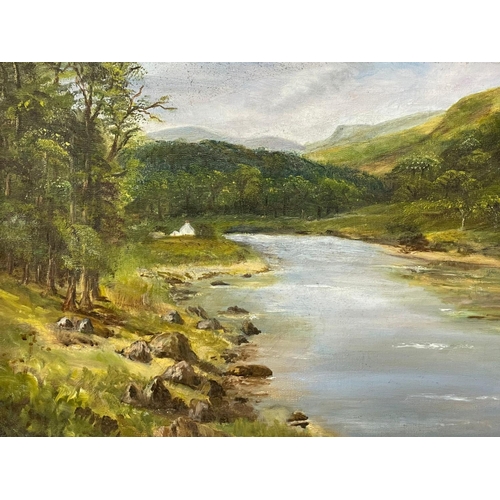 780C - A Scottish landscape oil painting.  74x39cm framed 89x54cm