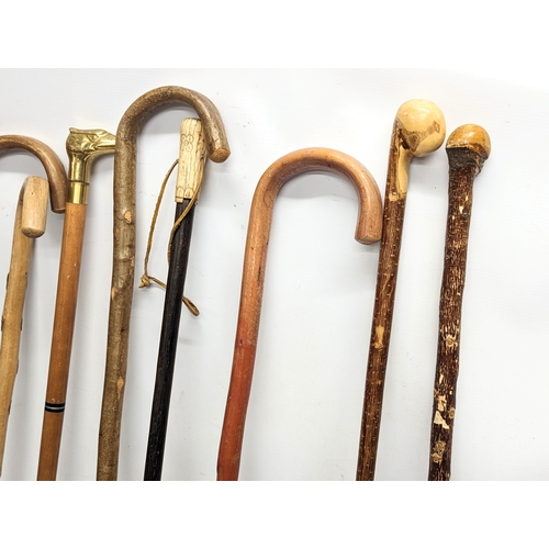 781C - A quantity of vintage walking sticks including an early 20th century bone handled stick.