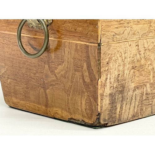 46 - A Regency oak tea caddy. Circa 1810.  21x11x14cm