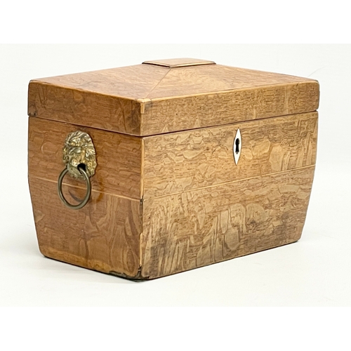 46 - A Regency oak tea caddy. Circa 1810.  21x11x14cm