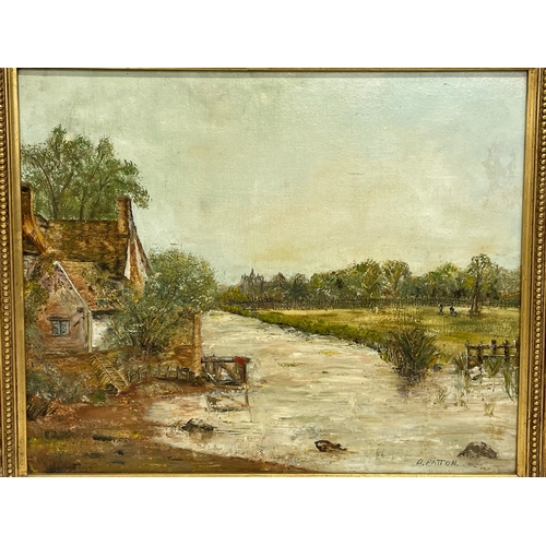 251 - A signed oil painting on board. 54.5x44.5cm. Frame 71x62cm