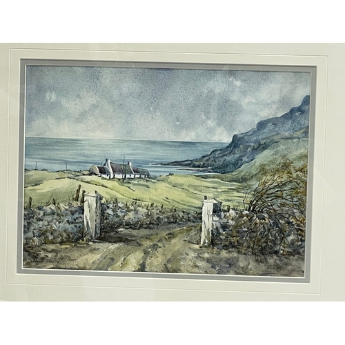 150M - A watercolour painting by Deirdre Hiscocks. Dunaff Homestead, County Donegal. 36x26cm. Frame 58x48.5... 