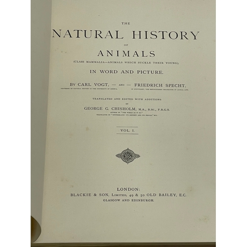 297 - The Natural History of Animals in Word and Picture. Class Mammalia Animals Which Suckle Their Young.... 