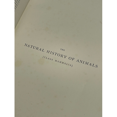 297 - The Natural History of Animals in Word and Picture. Class Mammalia Animals Which Suckle Their Young.... 