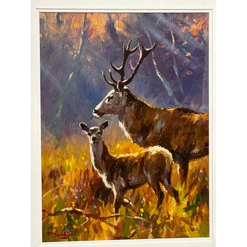 105 - An oil painting on board by Donal McNaughton. Stags in the Field. In new frame. 29x39cm. Frame 56.5x... 