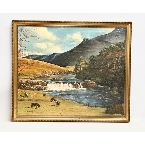 242 - A large oil painting on canvas by C. Stevenson. Aasleagh Falls, Ireland. 92x78cm. Frame 101.5x86cm