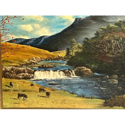 242 - A large oil painting on canvas by C. Stevenson. Aasleagh Falls, Ireland. 92x78cm. Frame 101.5x86cm