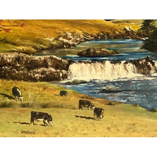 242 - A large oil painting on canvas by C. Stevenson. Aasleagh Falls, Ireland. 92x78cm. Frame 101.5x86cm