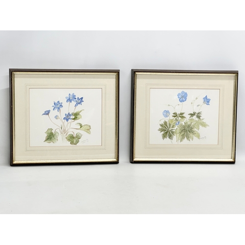 379 - 2 Watercolour drawings signed Heather NG. 25x20cm. Frame 38.5x33.5cm