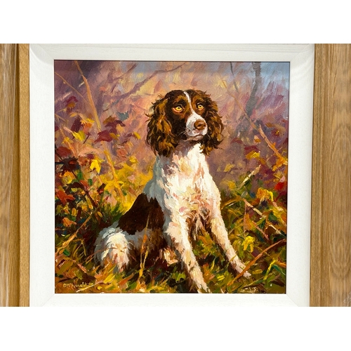 178 - A large oil painting on board by Donal McNaughton. Springer in the Grass. 40x40cm. Frame 64x64cm