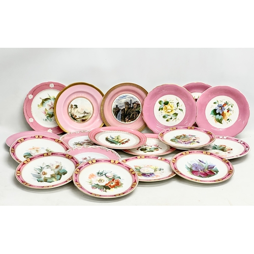 273 - A collection of 19th century hand painted pink porcelain cabinet plates.