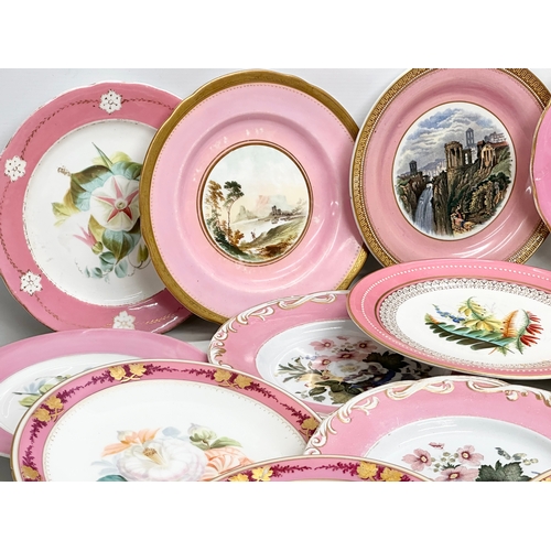 273 - A collection of 19th century hand painted pink porcelain cabinet plates.