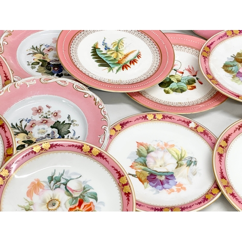 273 - A collection of 19th century hand painted pink porcelain cabinet plates.