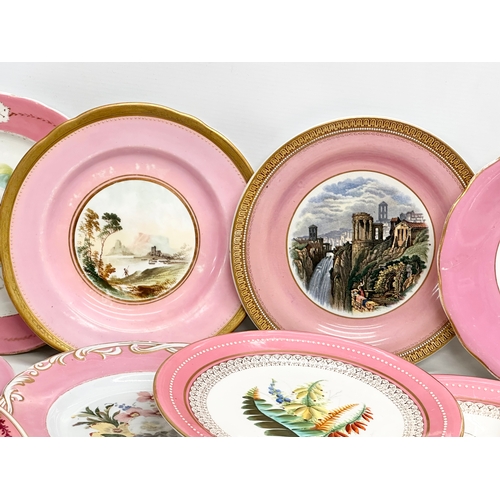 273 - A collection of 19th century hand painted pink porcelain cabinet plates.