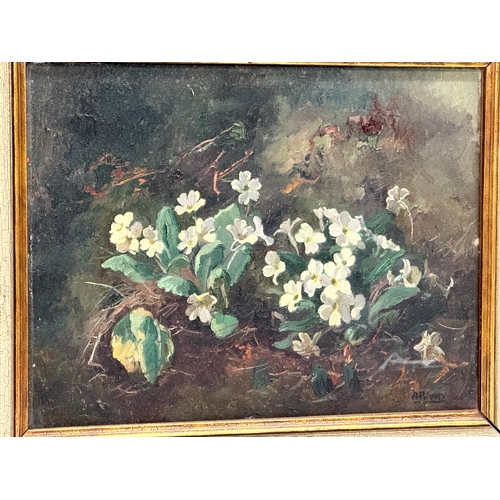 5 - An oil painting on canvas by Anne Primrose Jury HRUA (1907-1995) A.P. Jury. Still Life. 46x35.5cm. F... 