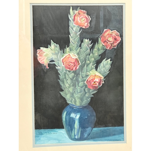 275 - A large Still life oil painting by Constance Evelyn Fears (C.E. Fears) Marsh Rose. Rarest Flower in ... 