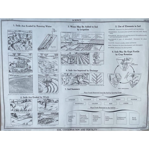 356F - A complete collection of large vintage lithograph charts by A. J. Nystrom & Co. Chicago. Consists of... 